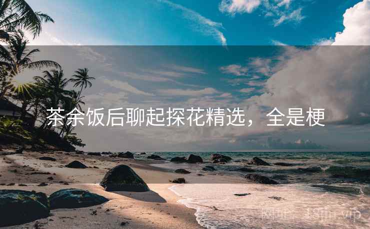 茶余饭后聊起探花精选，全是梗