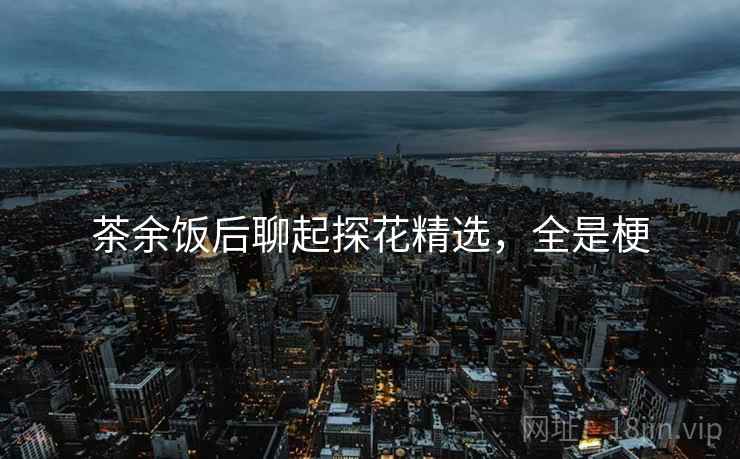 茶余饭后聊起探花精选，全是梗