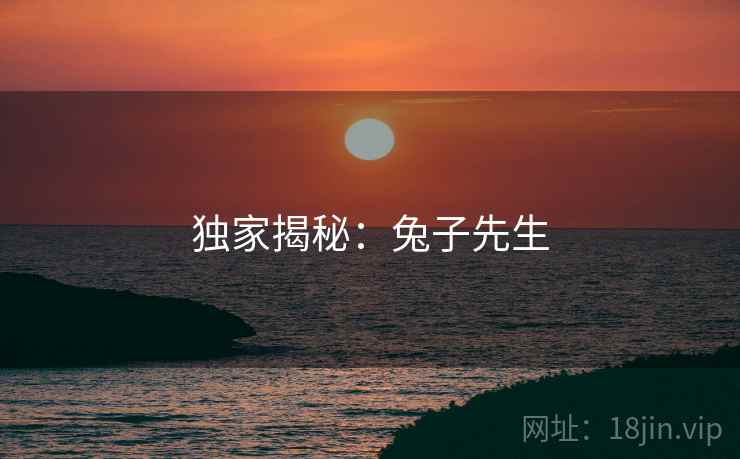 独家揭秘：兔子先生