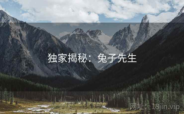独家揭秘：兔子先生