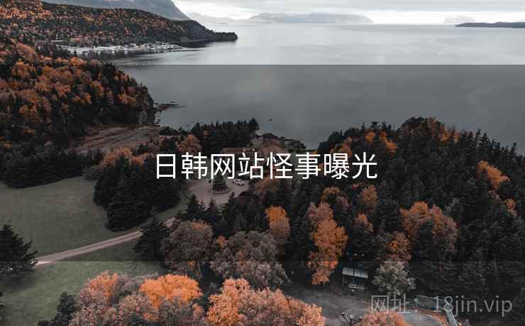 日韩网站怪事曝光 日韩网站怪事曝光