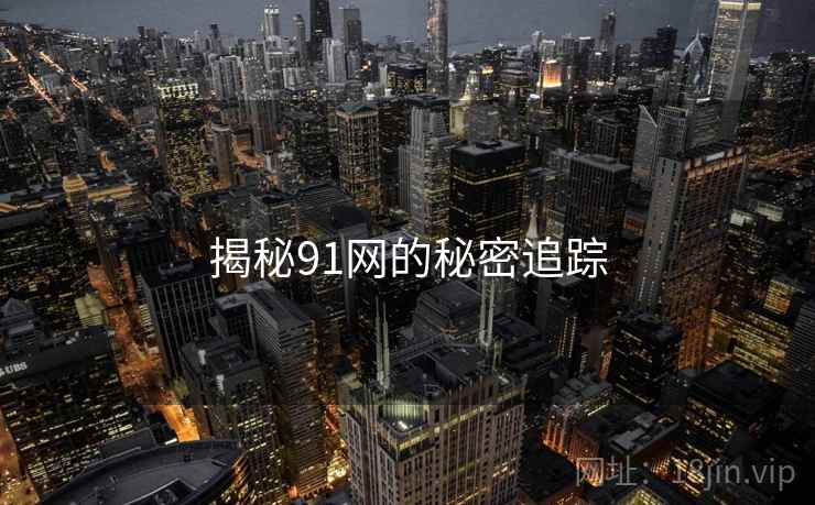 揭秘91网的秘密追踪