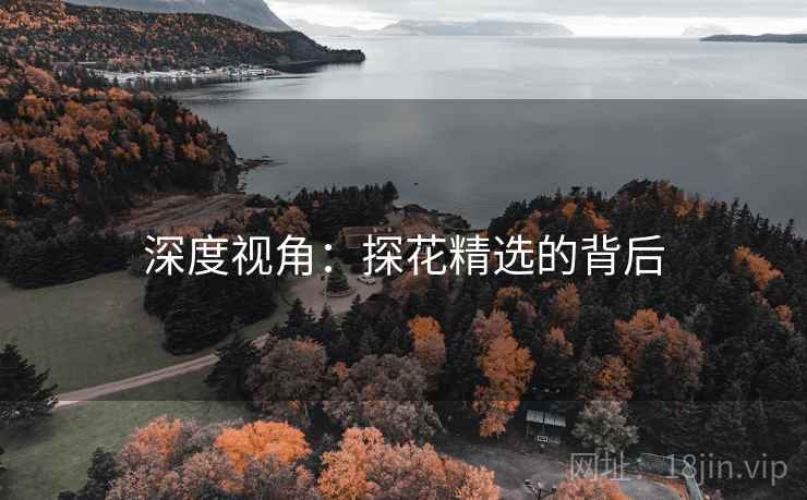 深度视角：探花精选的背后
