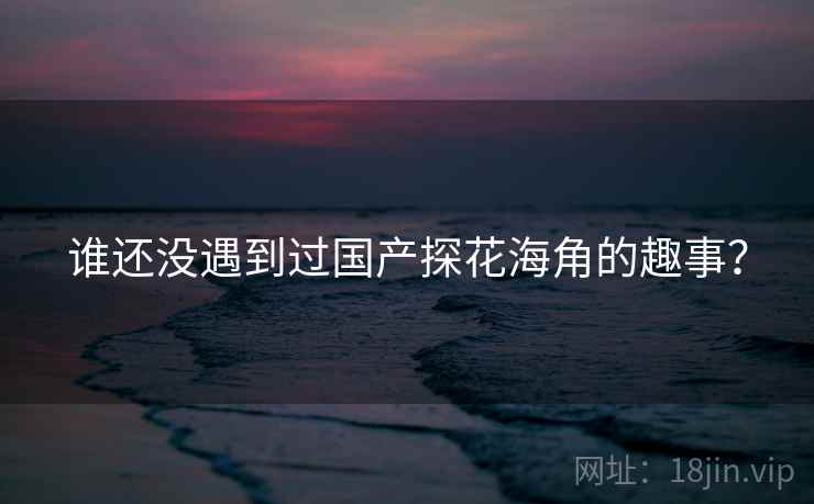 谁还没遇到过国产探花海角的趣事？