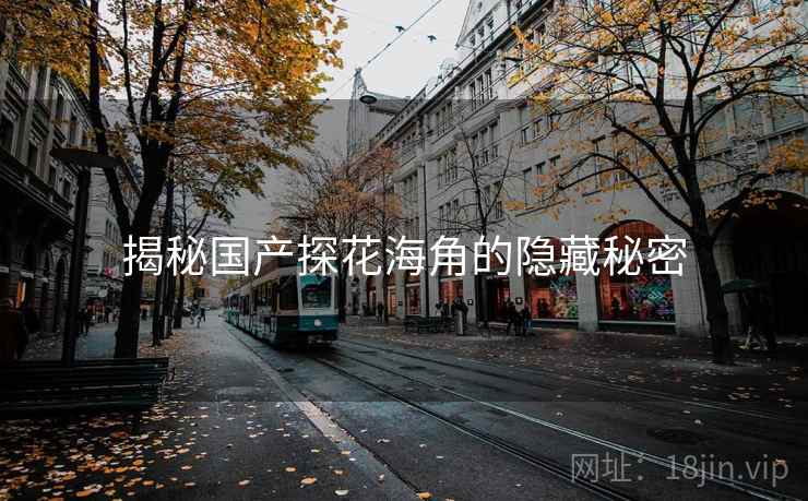揭秘国产探花海角的隐藏秘密
