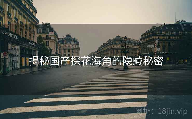 揭秘国产探花海角的隐藏秘密