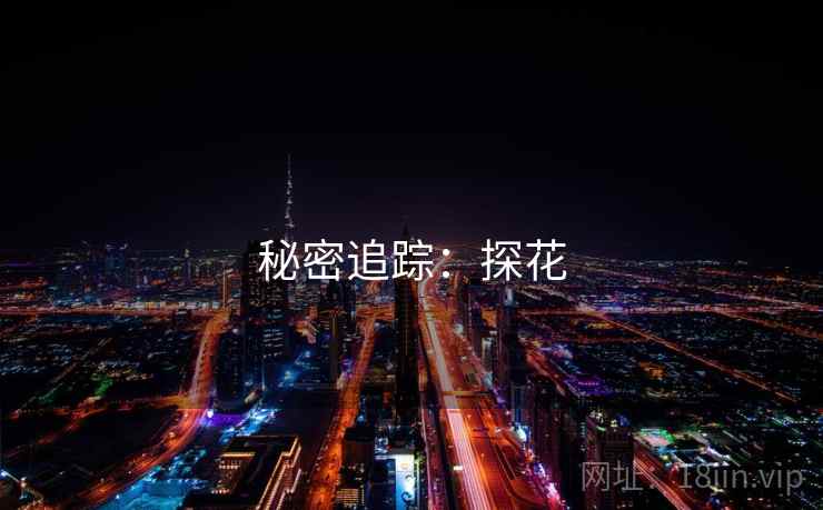 秘密追踪:探花 秘密追踪:探花
