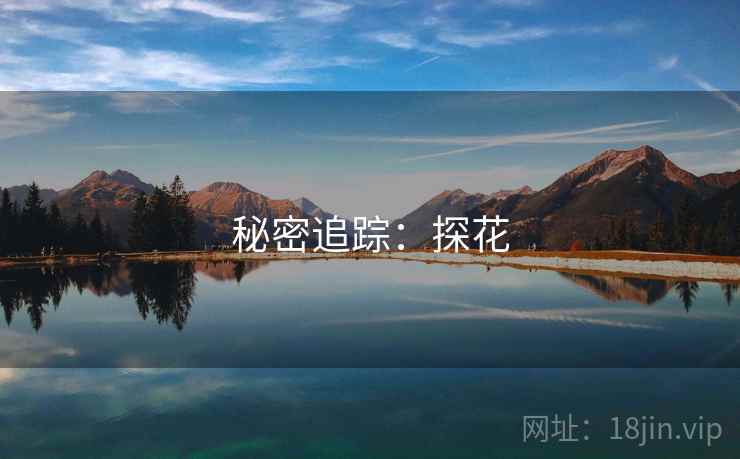 秘密追踪:探花 秘密追踪:探花