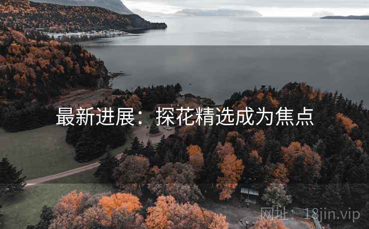 最新进展：探花精选成为焦点