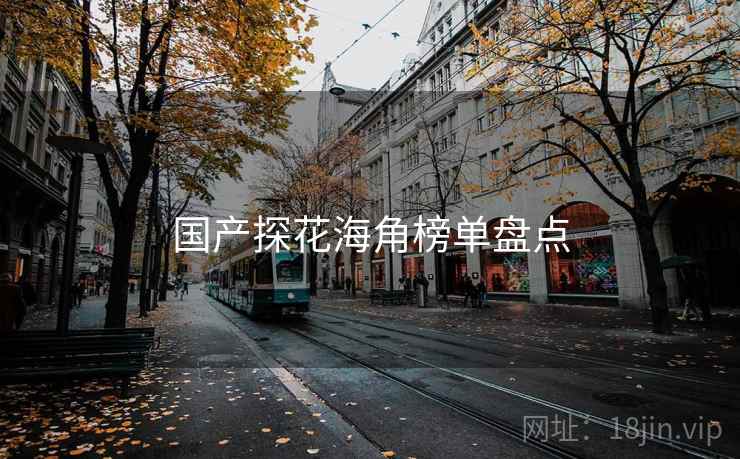 国产探花海角榜单盘点