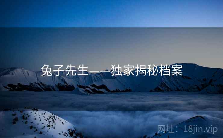 兔子先生——独家揭秘档案