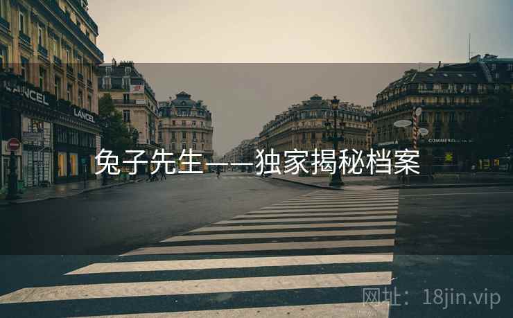 兔子先生——独家揭秘档案