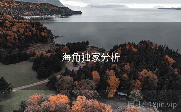海角独家分析