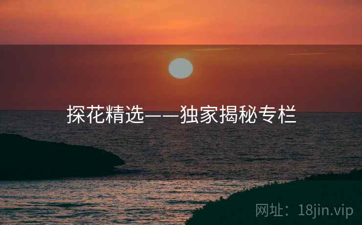 探花精选——独家揭秘专栏 探花精选——独家揭秘专栏
