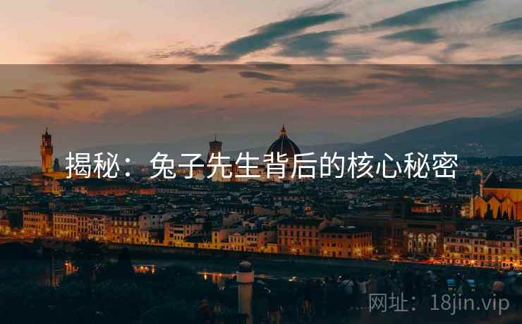 揭秘:兔子先生背后的核心秘密