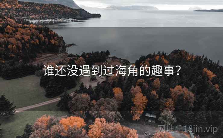 谁还没遇到过海角的趣事? 谁还没遇到过海角的趣事?