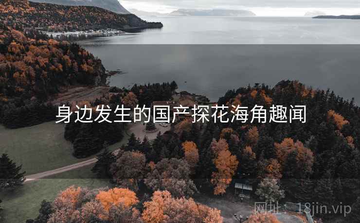 身边发生的国产探花海角趣闻