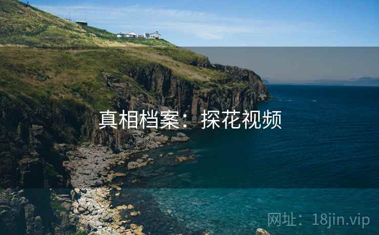 真相档案:探花视频