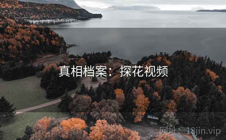 真相档案:探花视频 真相档案:探花视频