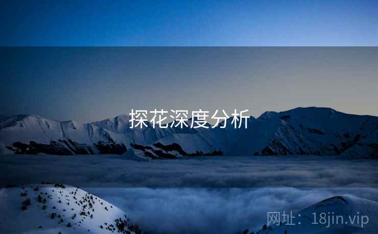 探花深度分析 探花深度分析